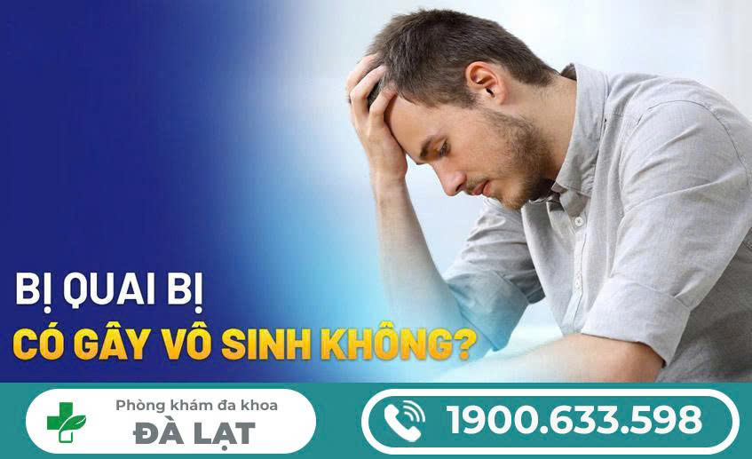 Hình ảnh minh họa